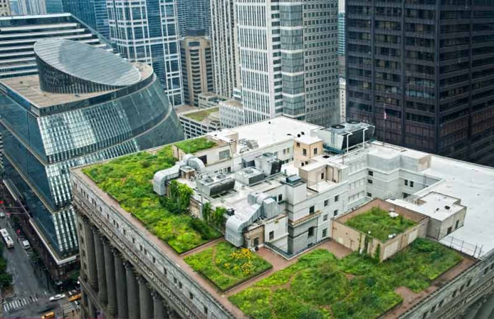 Chicago City Hall Green Roof