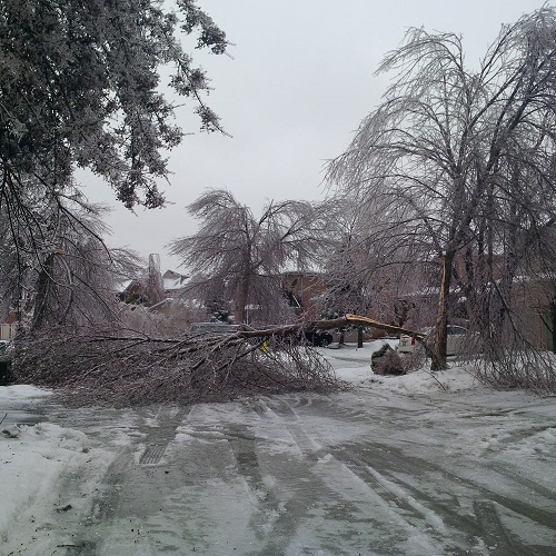 Toronto Ice Storm 2013